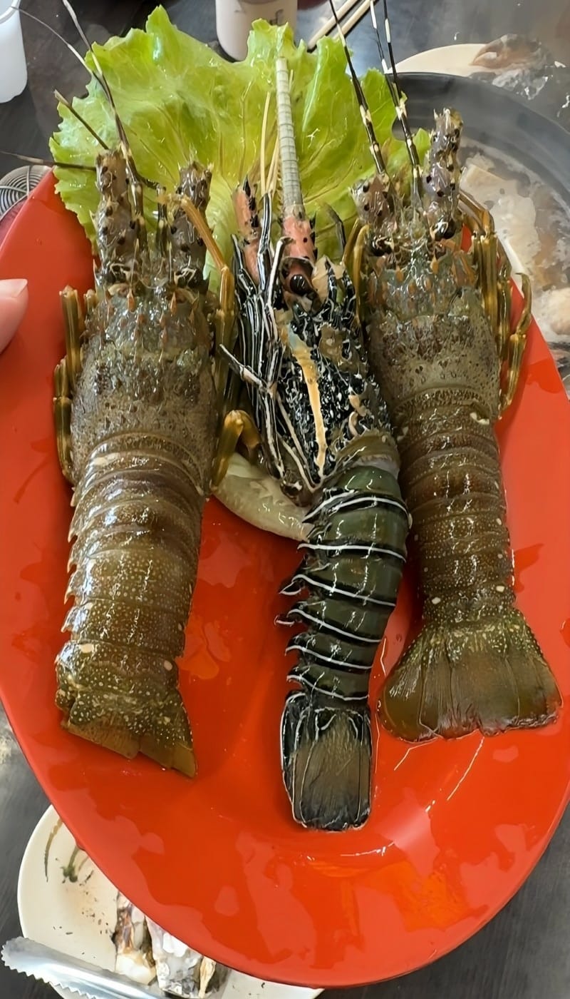 ［新竹縣寶山鄉］三本柱食補炭烤薑母鴨&鮮蚵吃到飽 -竹科寶山