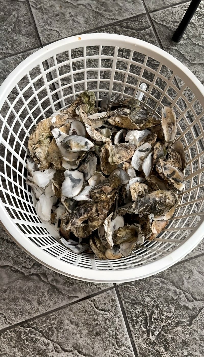 ［新竹縣寶山鄉］三本柱食補炭烤薑母鴨&鮮蚵吃到飽 -竹科寶山