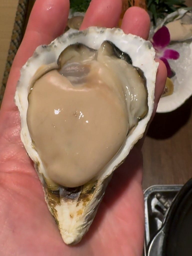 【台中南屯區】禾樂日式料理|南屯美食|日料推薦|日式火鍋結合 【台中南屯區】禾樂日式料理|南屯美食|日料推薦|日式火鍋結合