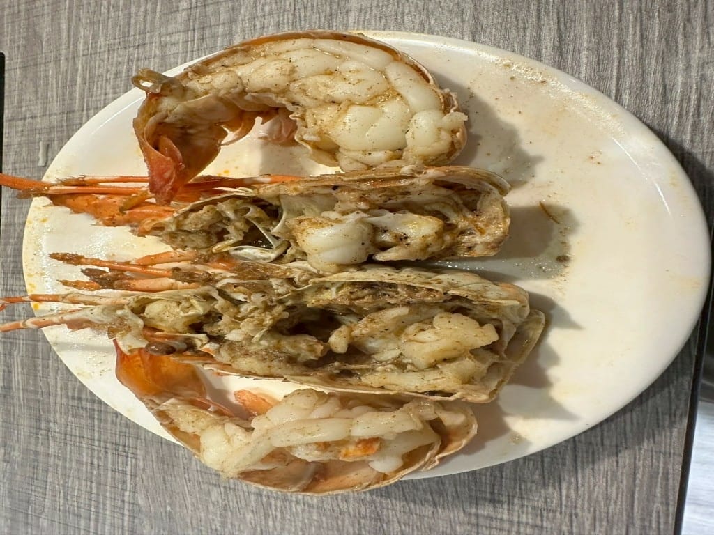 LINE_ALBUM_樂釜_250507_8-1024x768.jpg LINE_ALBUM_樂釜_250507_8-1024x768.jpg