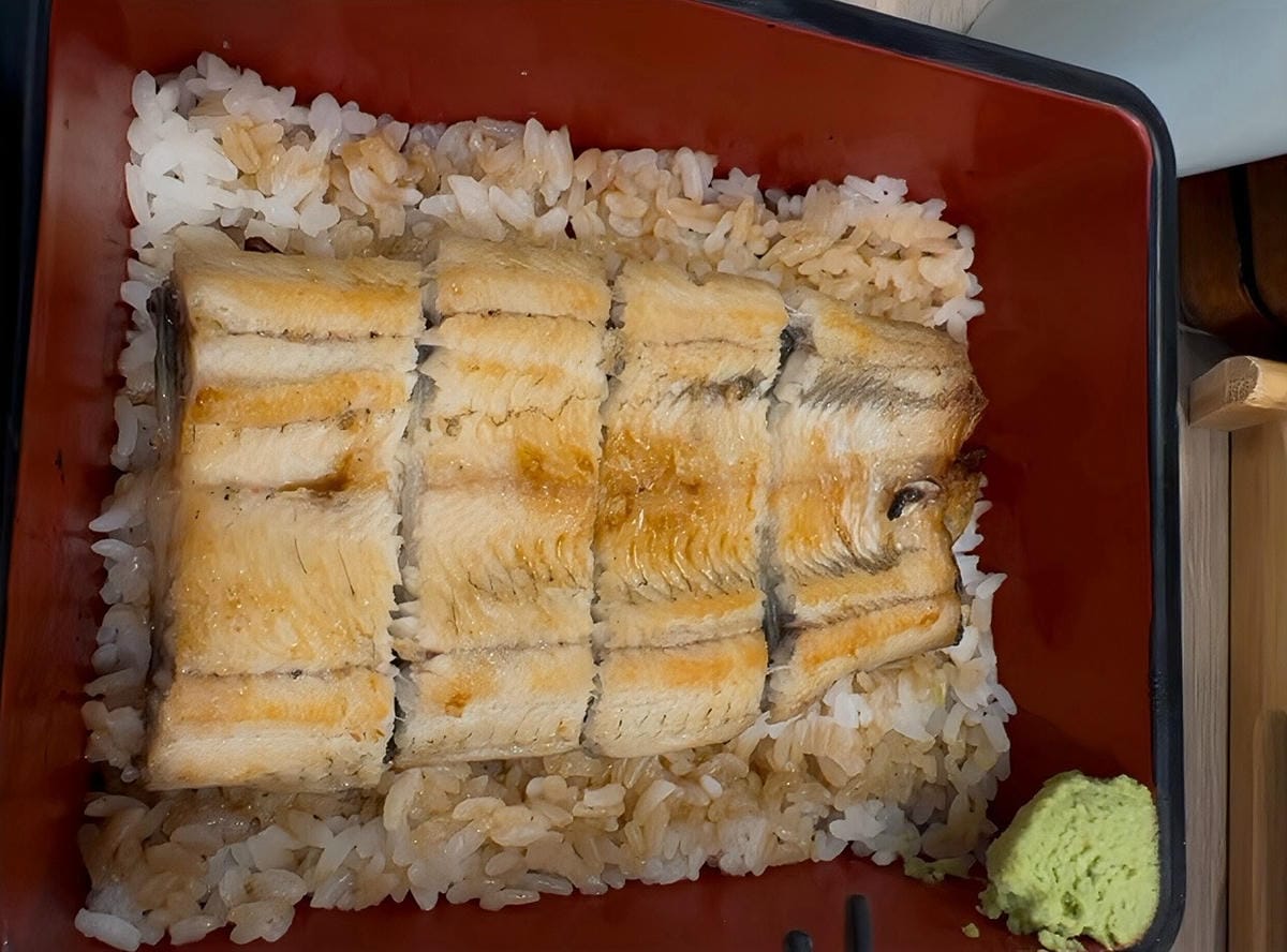 【台北信義區】|初鰻 職人味自慢 松菸店|鰻魚飯推薦!散步松 【台北信義區】|初鰻 職人味自慢 松菸店|鰻魚飯推薦!散步松