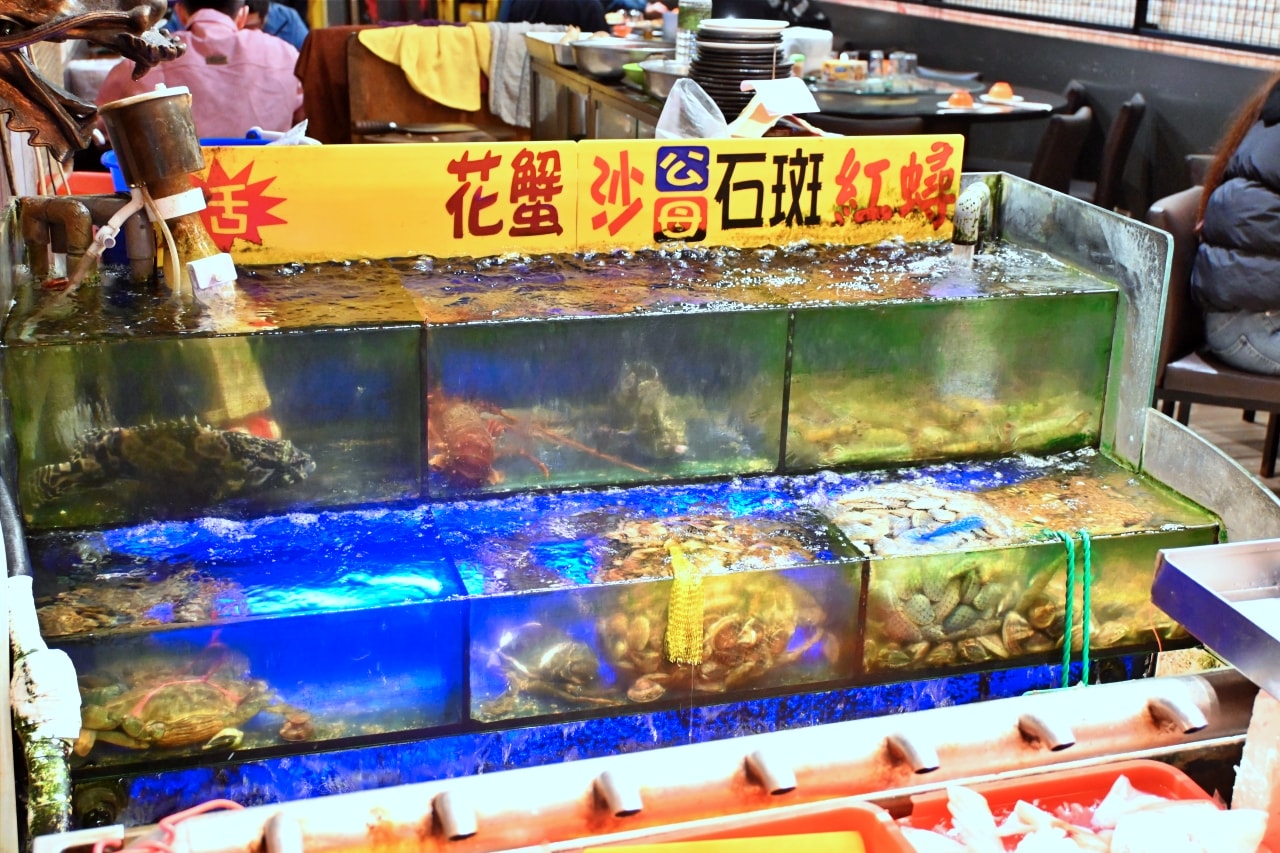【台北中山區|來來鵝肉活海鮮】遼寧街必吃老字號,40年傳承的招牌鵝肉與現撈海鮮! - 第3張圖 【台北中山區|來來鵝肉活海鮮】遼寧街必吃老字號,40年傳承的招牌鵝肉與現撈海鮮!